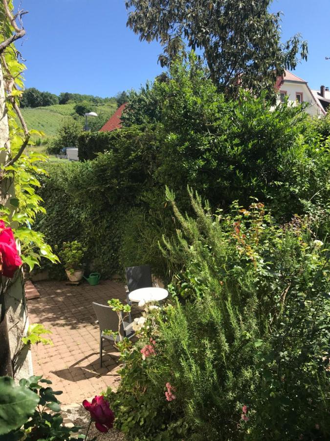 Gartenwohnung Gundelfingen (Breisgau) Exterior foto