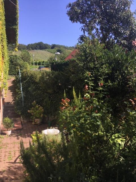 Gartenwohnung Gundelfingen (Breisgau) Exterior foto